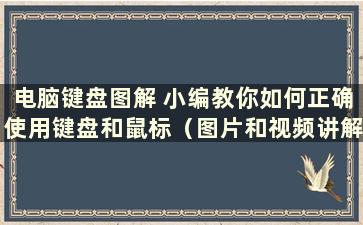 电脑键盘图解 小编教你如何正确使用键盘和鼠标（图片和视频讲解如何使用电脑键盘）